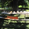 IMG_0347