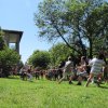 IMG_0553
