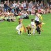 IMG_4383