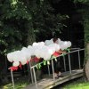IMG_4415