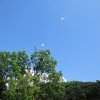 IMG_4456