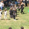 IMG_7849
