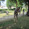 IMG_7970