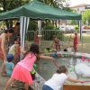 IMG_7980