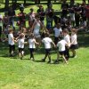 IMG_0901