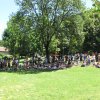 IMG_0961