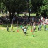 IMG_0967
